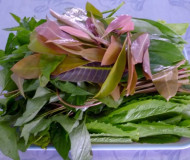Đặc sản “Lá rừng Cù Lao Chàm”