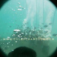 Tour Cu Lao Cham Di Bo Duoi Bien B