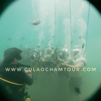 Tour Cu Lao Cham Di Bo Duoi Bien C