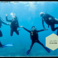 Tour Lặn Biển Cù Lao Chàm
