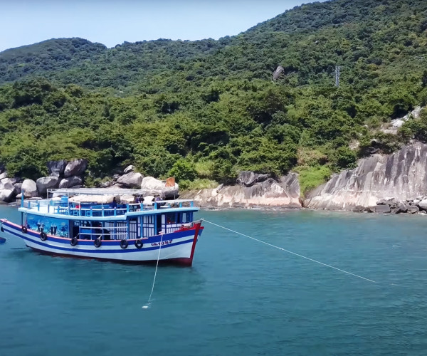 Ca No Cao Toc Cu Lao Cham (2)