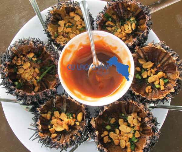 Cau Gai Cu Lao Cham