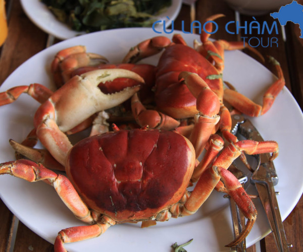 Tour Cu Lao Cham 55