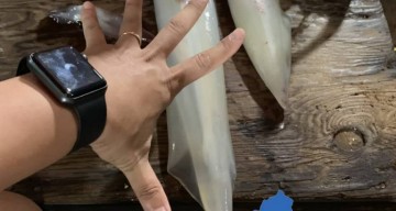 Cham Island 2 Days – Squid Fishing With Fishermen