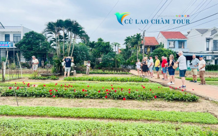 Hoi An Da Nang, Vietnam tourism 2024 from A to Z – What to eat and where to stay?
