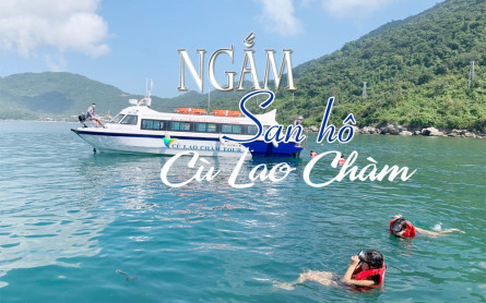 Tip experiences when swimming and snorkeling on Cham Island Hoi An, Vietnam