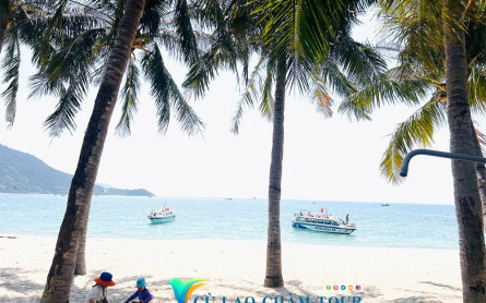 Tip 10 notes for families with children when traveling to Cham Island Hoi An, Vietnam