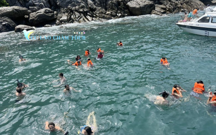 Cham Island günstig erreichen: Schnellboot-Tickets von Hoi An (Cua Dai Hafen)