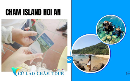 Cu Lao Cham’s Coral Wonderland: Finding the Perfect Beach for Snorkeling and Diving