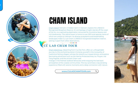 Cham Island Speedboat Ticket: Your FAQs Answered!