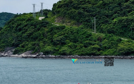 Bãi Làng, Cham Island: The Heart of UNESCO Biosphere – A Local’s Perspective