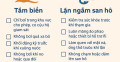 Health & Safety Guidelines for Swimming and Coral Reef Snorkeling at Cham Island