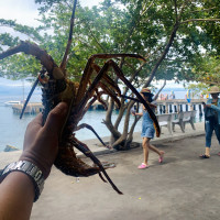 Tour Cu Lao Cham 1 Ngay