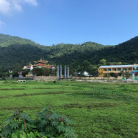 Tour Cu Lao Cham