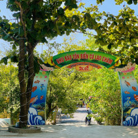 Tour Cù Lao Chàm
