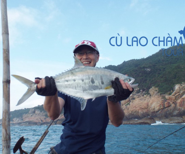 Cau Ca Son Tra Da Nang