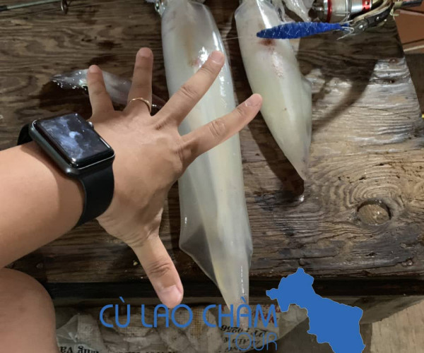 Squid Fishing Cham Island Tour 2