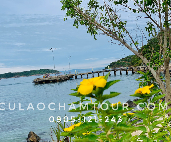 Tour Cu Lao Cham 1 Ngay