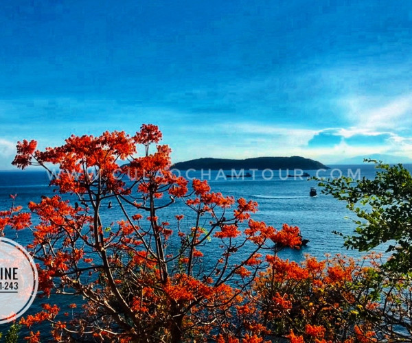Tour Cu Lao Cham