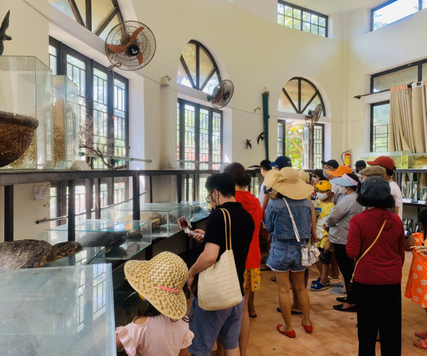 Tour Cù Lao Chàm