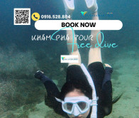 Lộ trình tour free dive khám phá bán đảo Sơn Trà, Đà Nẵng 1 ngày