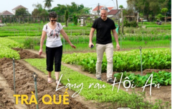 Hướng dẫn về làng rau Trà Quế “xanh mướt” từ phố cổ Hội An