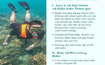 Đi lặn ngắm san hô ở Sơn Trà Đà Nẵng: Những quy định và lưu ý sức khỏe bạn cần biết