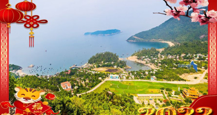 Combo tour Cù Lao Chàm – Khởi đầu năm mới đầy hứng khởi!