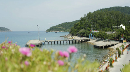 Combo Cù Lao Chàm tự túc 1 ngày: Lịch trình khám phá “thiên đường xanh” theo cách của bạn