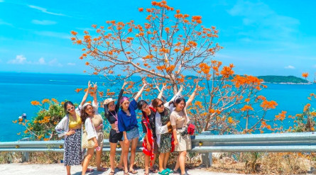 Combo Cù Lao Chàm 2 ngày 1 đêm Free & Easy: Tự do khám phá “thiên đường xanh” theo cách của bạn!