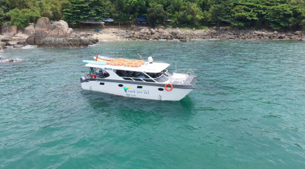 Trải Nghiệm Tour Lặn Ngắm San Hô Sơn Trà – Đà Nẵng: Hành Trình Chạm Vào Đại Dương