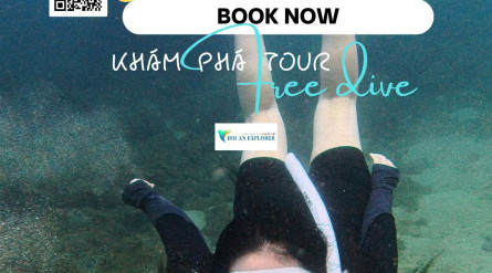 Lộ trình tour free dive khám phá bán đảo Sơn Trà, Đà Nẵng 1 ngày