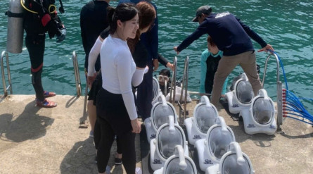 Tour Cù Lao Chàm Nửa Ngày – Kinh Nghiệm Thật, Cảm Xúc Thật