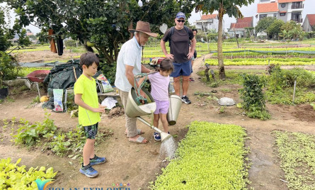 Khám Phá Làng rau Trà Quế Hội An: Hướng Dẫn Chi Tiết Cập Nhật Mới Nhất