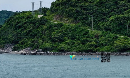 Đổi Gió Với Trải Nghiệm Nghỉ Đêm Cực “Chill” Tại Homestay Cù Lao Chàm