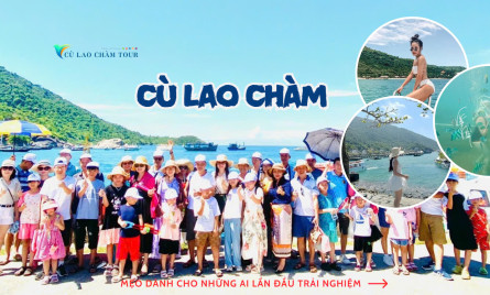“Phượt” Cù Lao Chàm Tự Túc: Từ A Đến Z Bí Kíp “Sống Sót” Cho Dân “Solo” và Team “Tự Lái”!