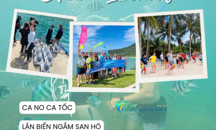 Combo Tour Cù Lao Chàm + Rừng dừa Bảy Mẫu – Khởi hành từ Hội An (Ghép khách)
