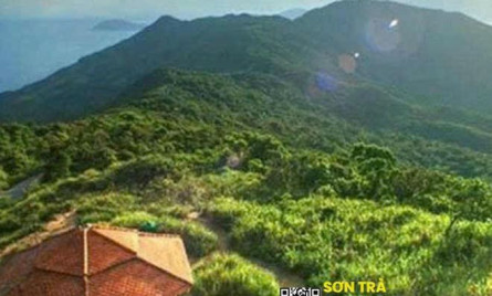 Khám phá Nhà Vọng Cảnh Bán đảo Sơn Trà trong 1 ngày