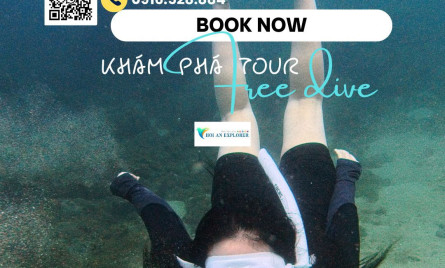 Lộ trình tour free dive khám phá bán đảo Sơn Trà, Đà Nẵng 1 ngày