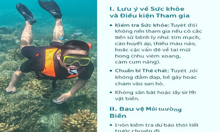 Đi lặn ngắm san hô ở Sơn Trà Đà Nẵng: Những quy định và lưu ý sức khỏe bạn cần biết