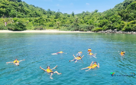 Tại Sao Cù Lao Chàm Hội An Được Unesco Công Nhận Là Khu Dự Trữ Sinh Quyển Thế Giới?