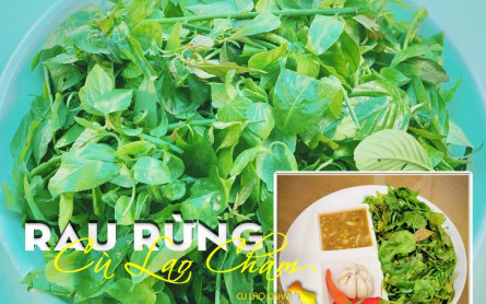 Rau Rừng Món Ăn Đặc Biệt Nhất Tại Đảo Cù Lao Chàm