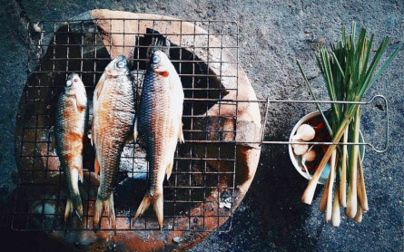 Cá Niêng Sông Tiên Đà Nẵng