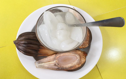 Dừa Nước Cẩm Thanh – Top 5 Món Dừa Nước Ngon Nhất Ở Rừng Dừa Bảy Mẫu