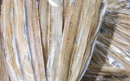 Hải Sản Khô Cù Lao Chàm Đặc Sản Làm Quà Ý Nghĩa