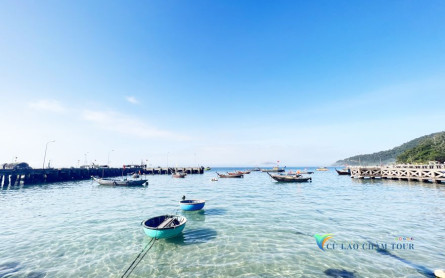 Mẹo Đi Du Lịch Cù Lao Chàm Tiết Kiệm Và Rẻ Nhất