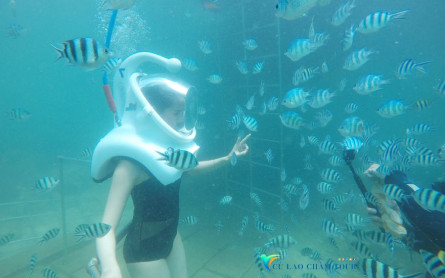 Thông Tin Bổ Ích Hướng Dẫn Du Khách Khi Tham Gia Tour Đi Bộ Dưới Biển Cù Lao Chàm