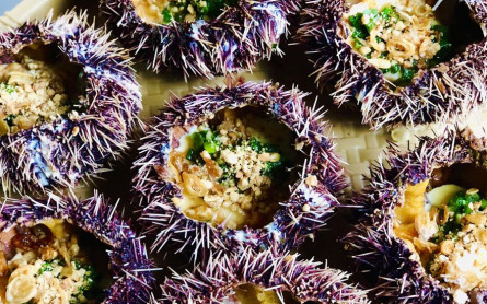 Tham Quan Du Lịch Xã Đảo Tam Hải, Núi Thành Đà Nẵng Nên Ăn Gì?