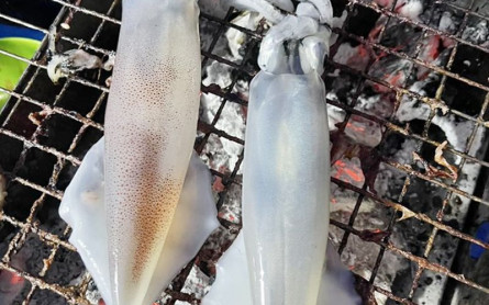 Trải nghiệm câu mực đêm cực thú vị cùng ngư dân trên Đảo Hòn Dài Cù Lao Chàm