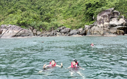 Kinh nghiệm quý báu khi đi du lịch tự túc 1 mình khám phá đảo Cù Lao Chàm Đà Nẵng